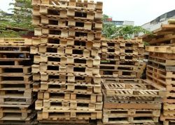 Cung cấp dịch vụ đóng pallet gỗ tại Bình Dương-Đồng Nai-
